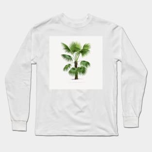 9 Les Palmiers Histoire Long Sleeve T-Shirt